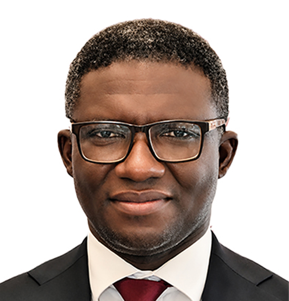 https://ghanapublishing.gov.gh/wp-content/uploads/2026/07/chief.jpeg